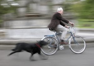 Dog Chase Bicyle